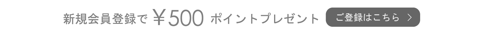 新規会員登録でポイントプレゼント